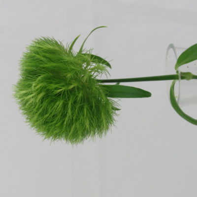 Green trick
