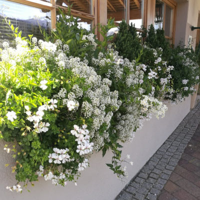 Composizione balcone bianco