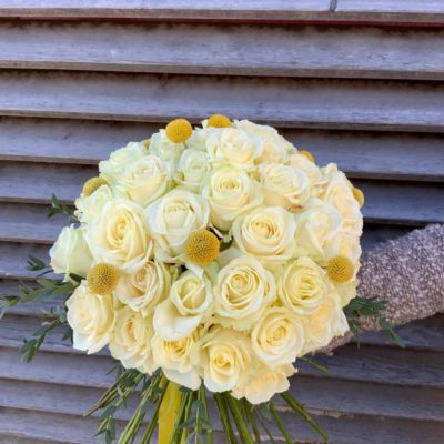 MAZZO LUXURY ROSE BIANCHE