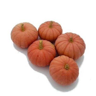 zucche ornamentali